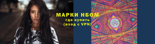 молекула духа Арсеньев