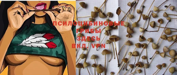 a pvp Армянск