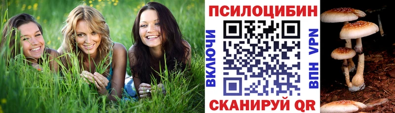 Галлюциногенные грибы GOLDEN TEACHER МЕГА маркетплейс Зима продажа наркотиков